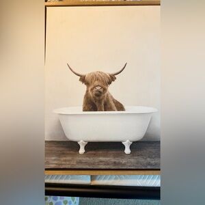 Highland cow in tub canvas🛁